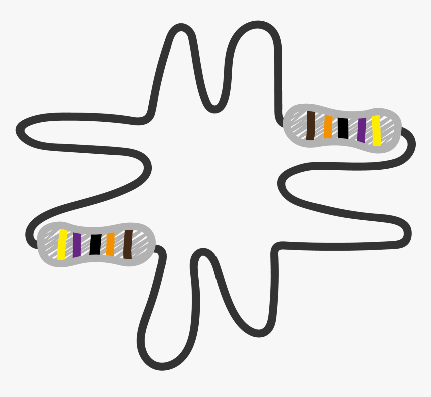 Clip Art, HD Png Download