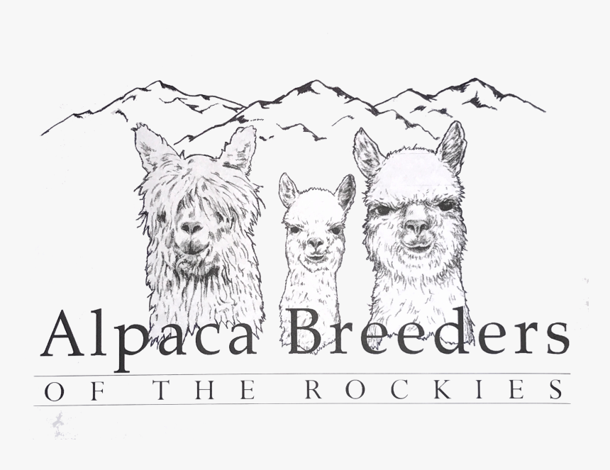 Transparent Western Frame Png - Sketch, Png Download