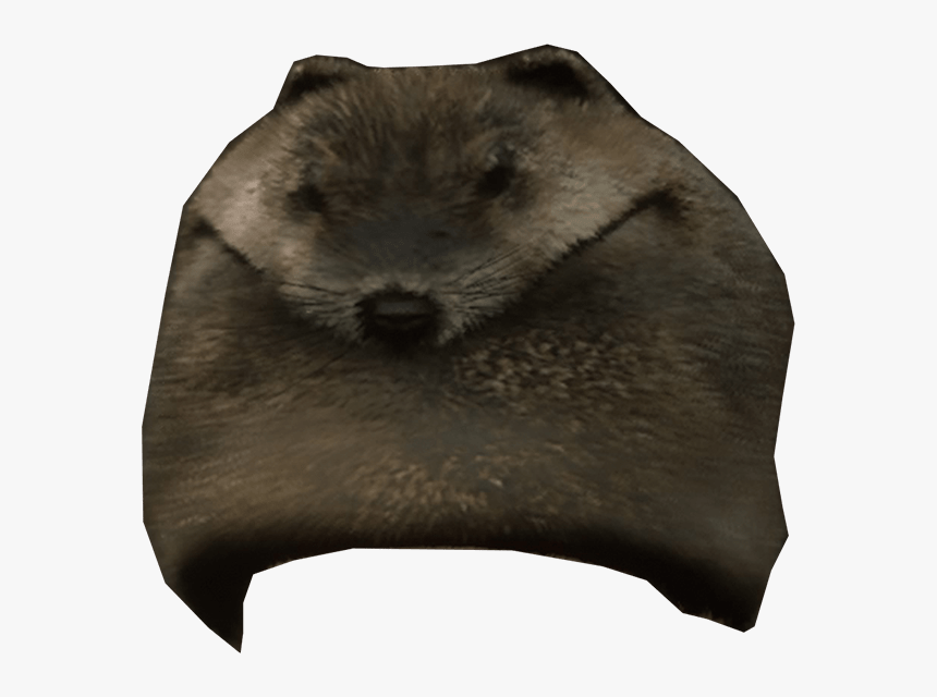 Beaver Mountain Hat-min - Cushion, HD Png Download
