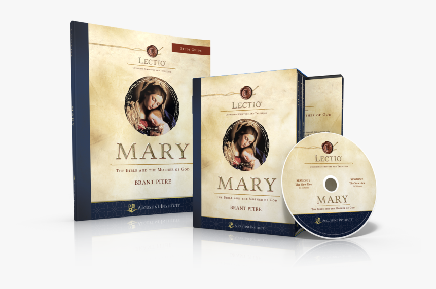 Transparent Eve Torres Png - Madonna And Child, Png Download