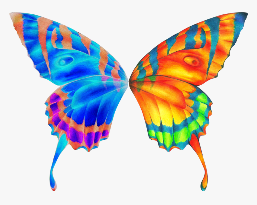 Butterfly Wings Clipart - Butterfly Wings Clipart Png, Transparent Png