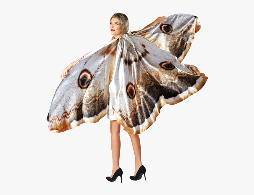 Transparent Moth Wings Png - Butterfly, Png Download
