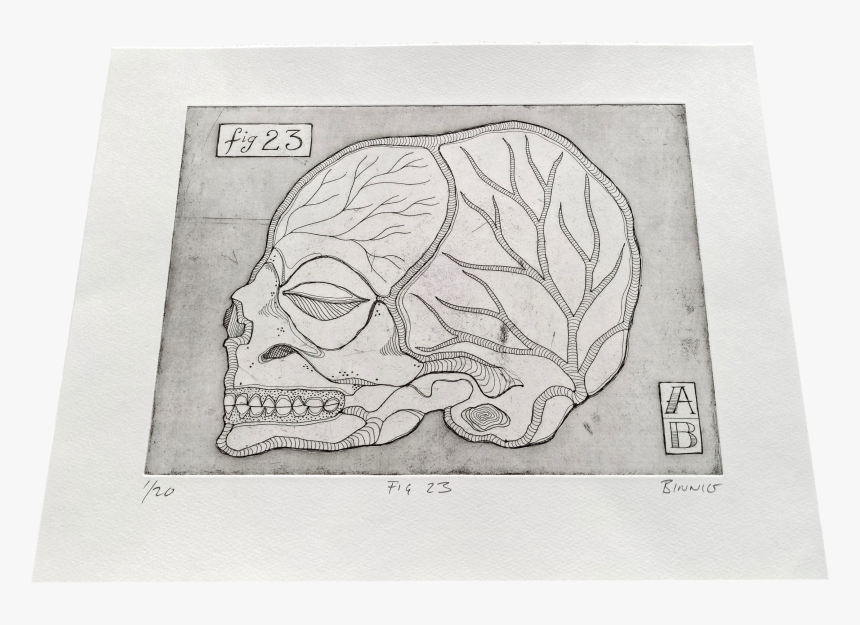 Fig - Sketch, HD Png Download