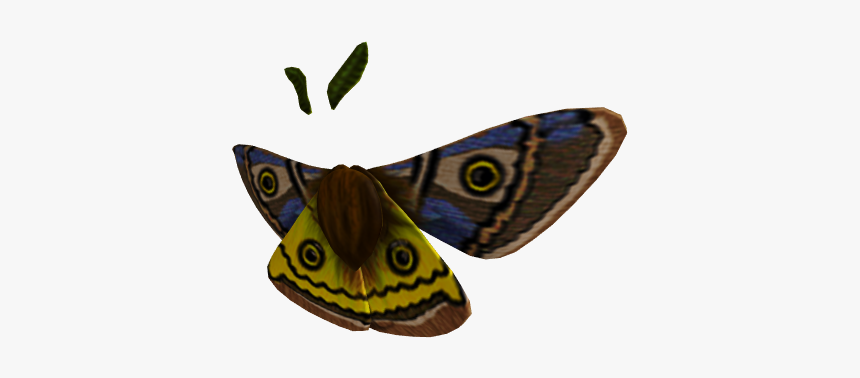 Glorious Moth Wings - Butterfly, HD Png Download