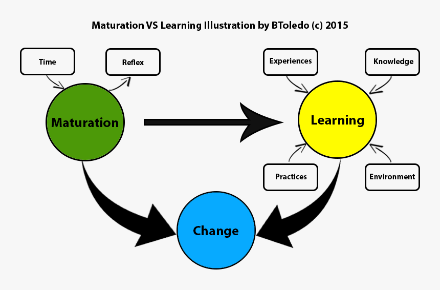 Maturity Vs Learning - Circle, HD Png Download