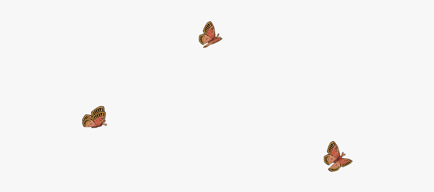 Brush-footed Butterfly, HD Png Download
