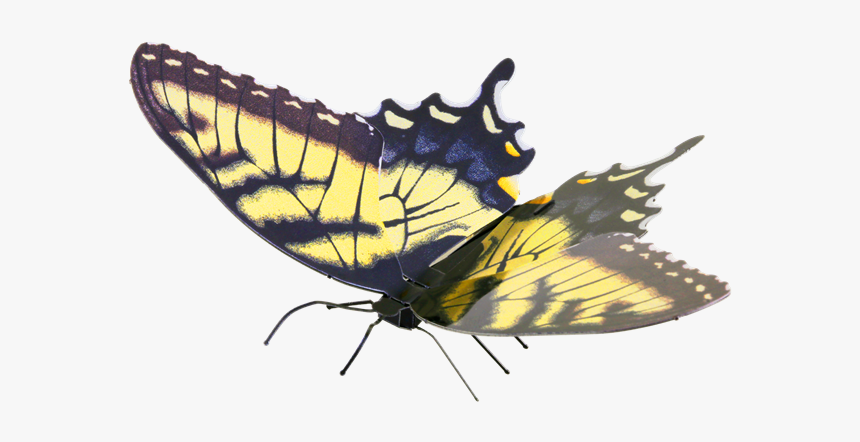Metal Earth Butterflies - Metal Earth Butterfly, HD Png Download