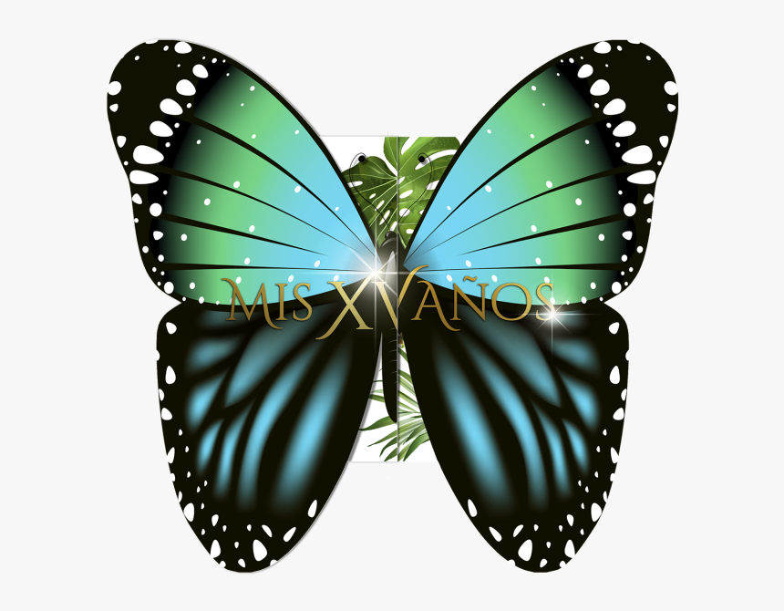 Lycaenid, HD Png Download