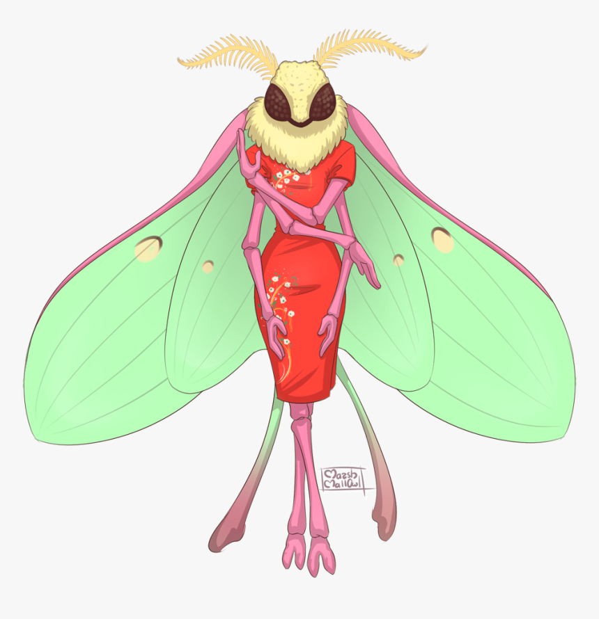 Cicada, HD Png Download