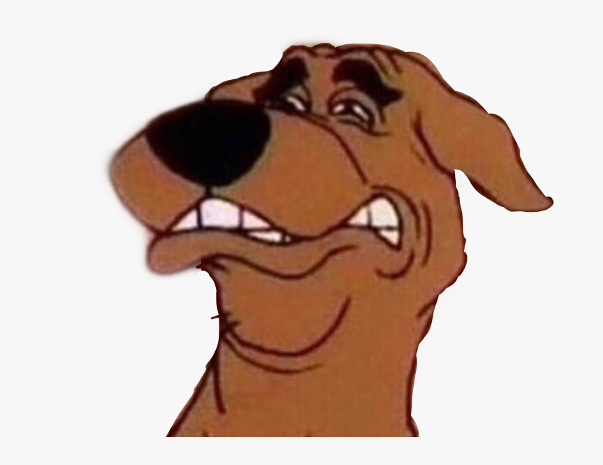 Meme Memes Disgusted Disgusting Scoobydoo Scooby Doo Scooby Doo Funny Face HD Png