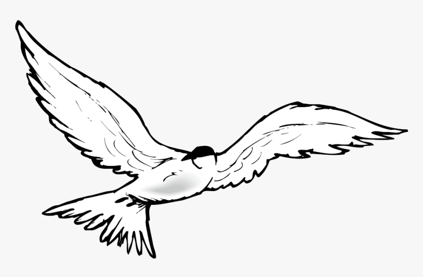 Flying Geese Clipart - Osprey, HD Png Download