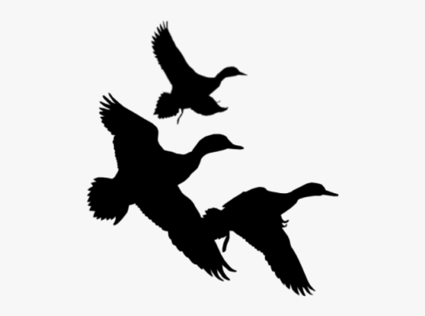 Duck Hunting Silhouette - Ducks Flying Silhouette Png, Transparent Png