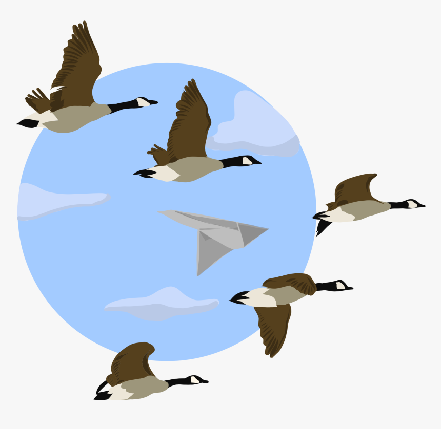 Flock, HD Png Download