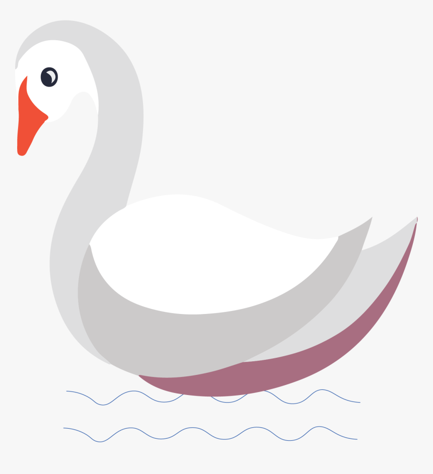 Duck, HD Png Download