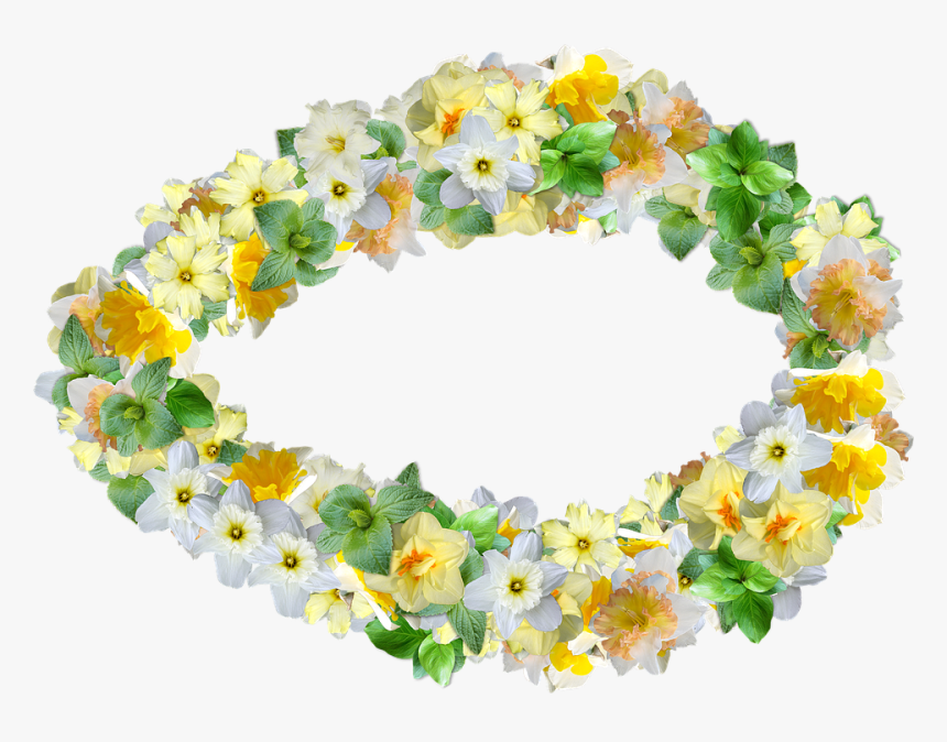 Daffodils, Flowers, Spring, Narcissus, Decoration - Sunflower, HD Png Download