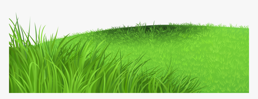 Coral Clipart Sea Grass - Grass Clipart Png, Transparent Png