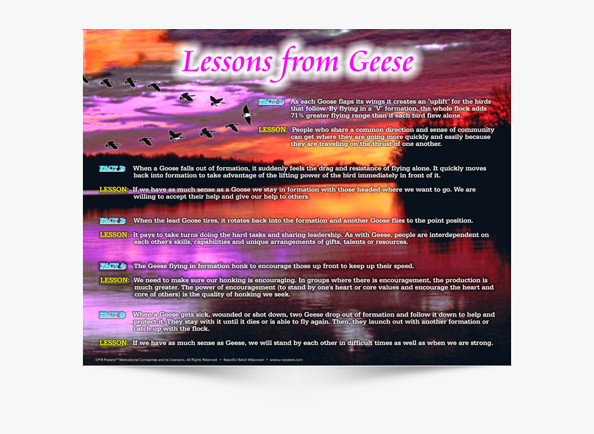 This Is The English Version Of Poster Design - Flyer, HD Png Download