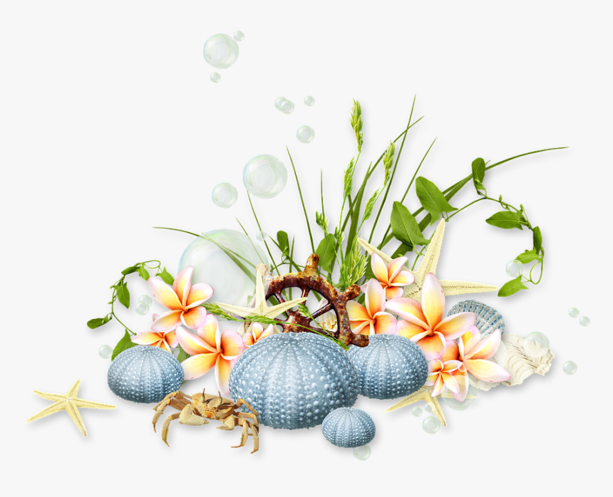Summer Sea Coast Beach Vacation Tropics - Grass, HD Png Download