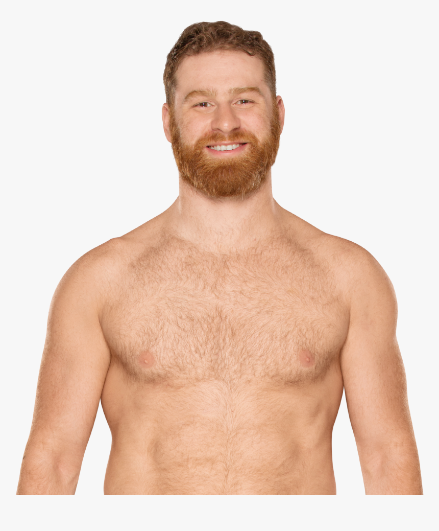 Dash Wilder Wwe 2017, HD Png Download