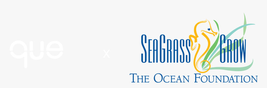 Ocean Foundation Seagrass Grow, HD Png Download