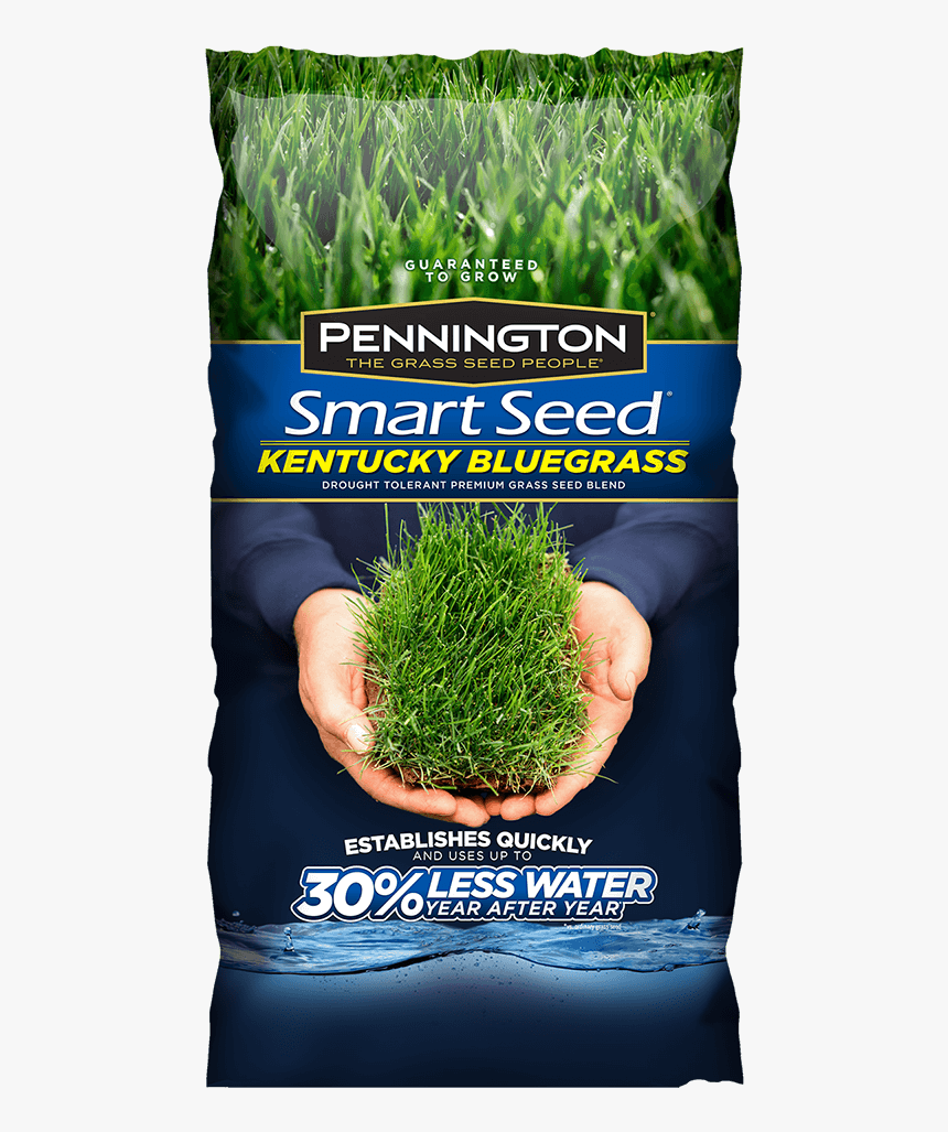 Smart Seed, HD Png Download