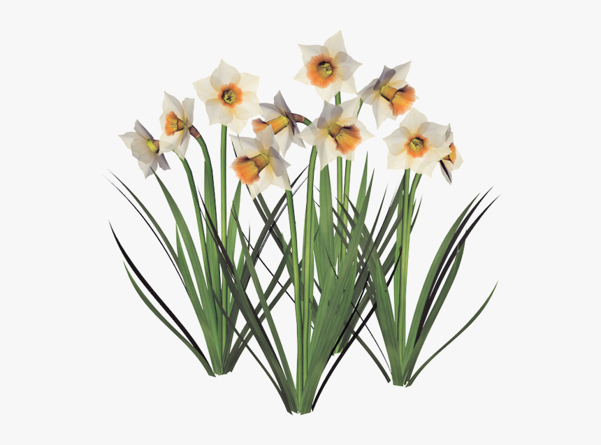 Bonne Fete Dorothée, HD Png Download