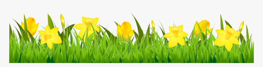 Easter Clipart Daffodil - Daffodil Clipart Border, HD Png Download