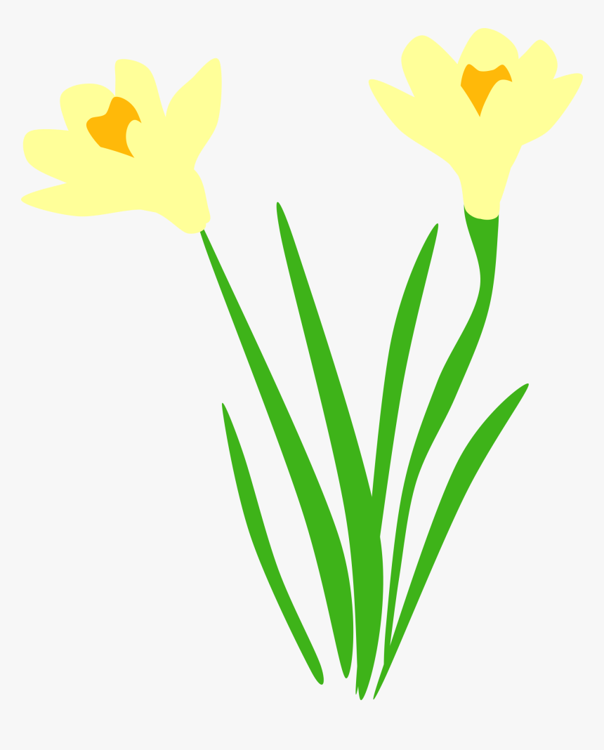 Transparent Daffodil Vector, HD Png Download