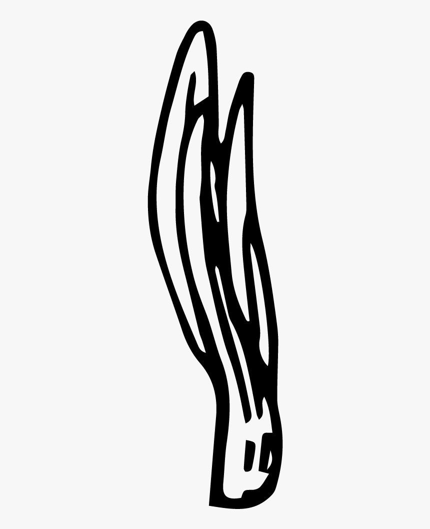 Leek, HD Png Download