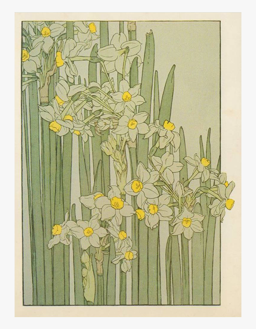 Art Nouveau Flower Drawing, HD Png Download