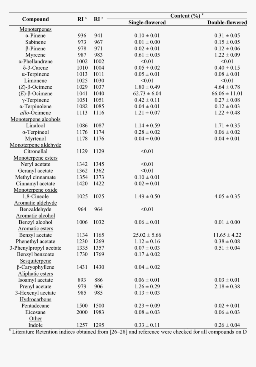 Document, HD Png Download