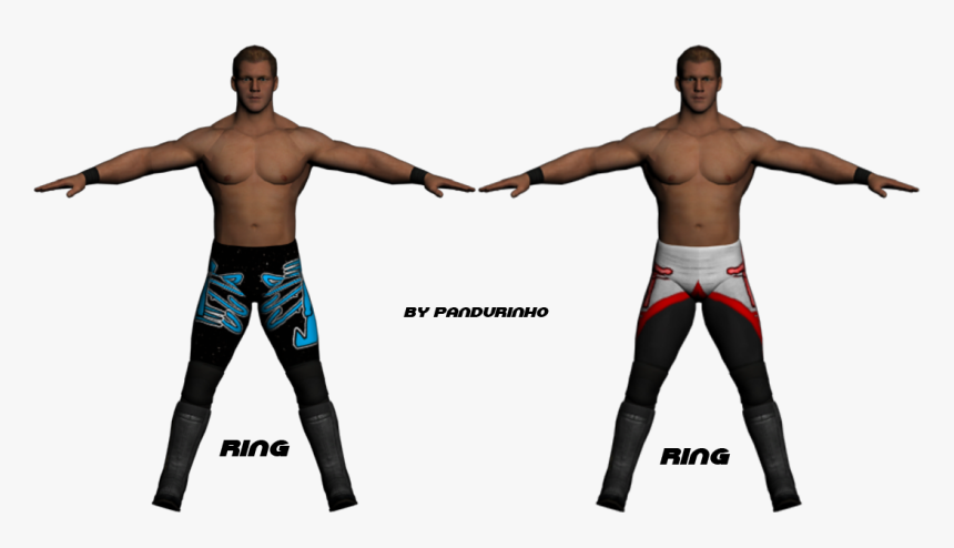Chris Jericho Save Me Logo Www Imgkid Com The Image - Chris Jericho Logo Png, Transparent Png