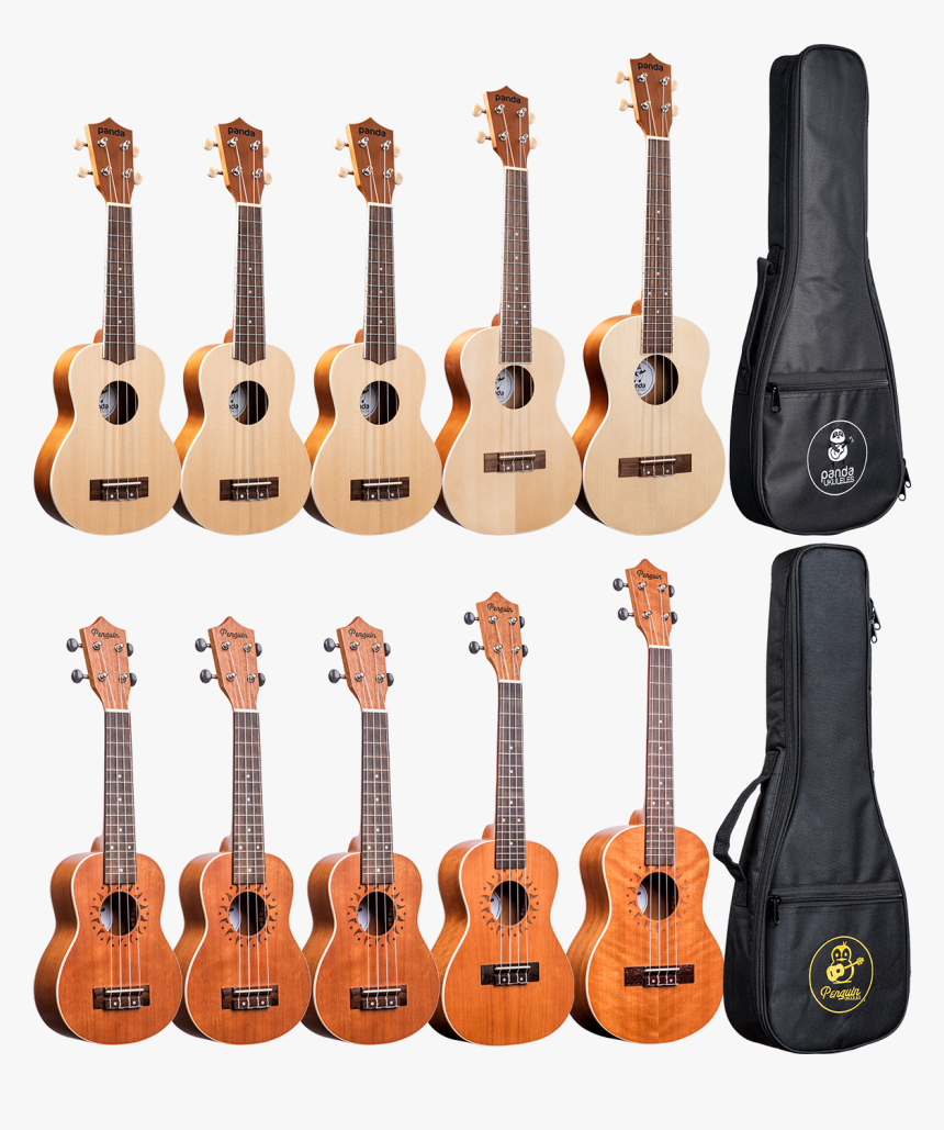 Bass Guitar, HD Png Download