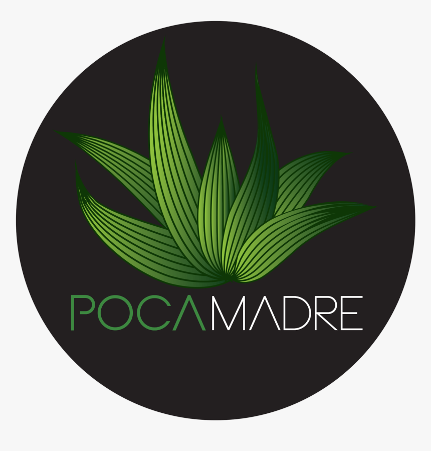 Member Image - Circle, HD Png Download