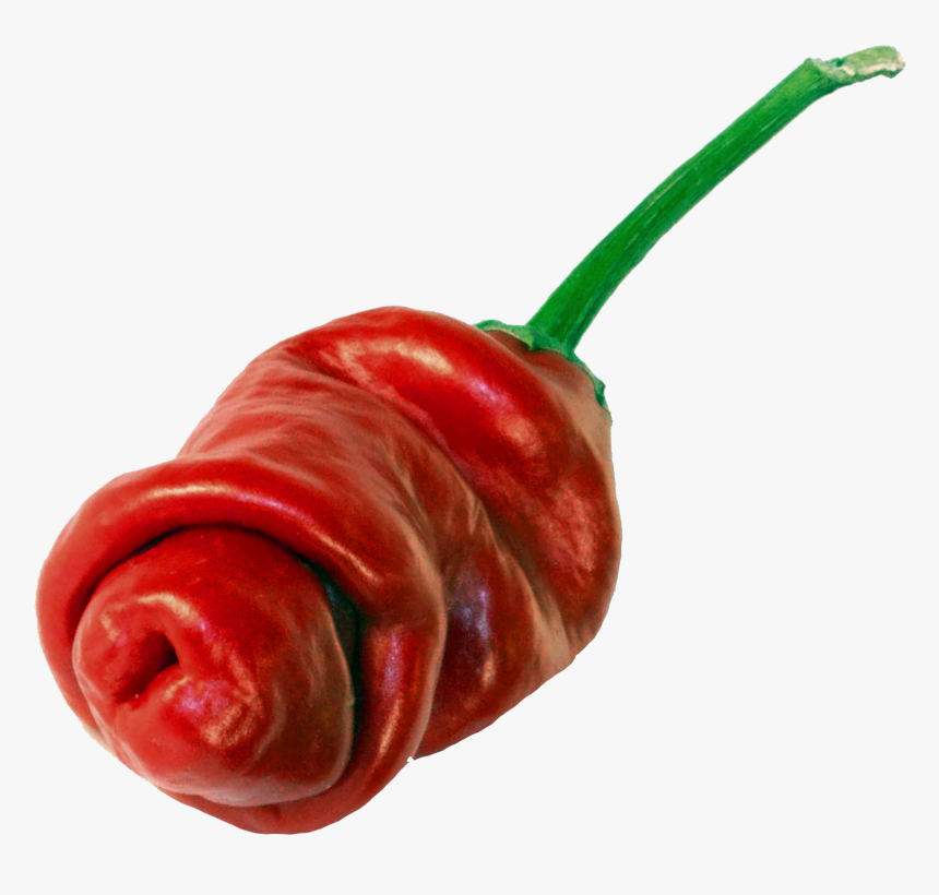 Paprika Penis, HD Png Download