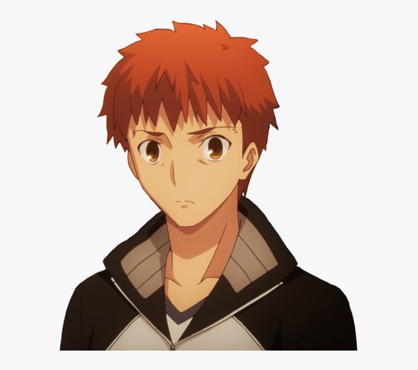 Seigi No Mikata Anime, HD Png Download