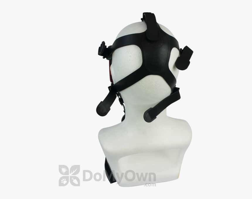 Bust, HD Png Download