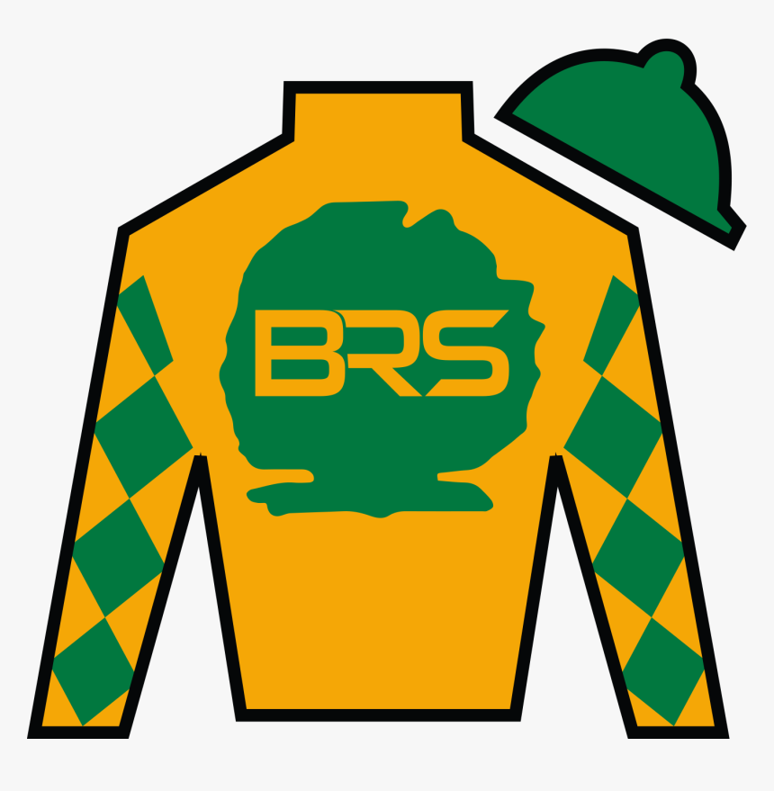Owner Link - Black Horse Racing Silks, HD Png Download