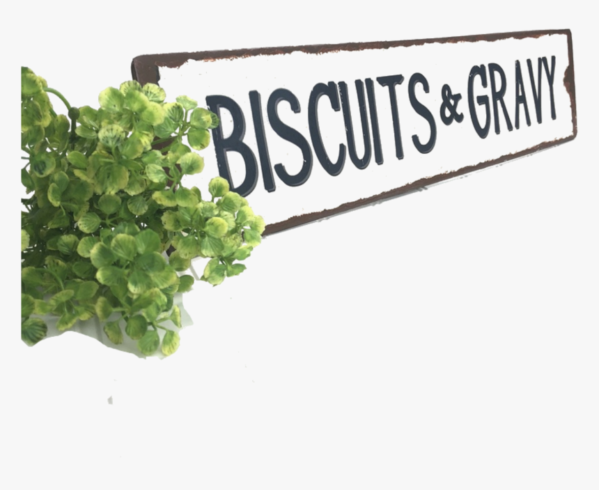 Hydrangea, HD Png Download