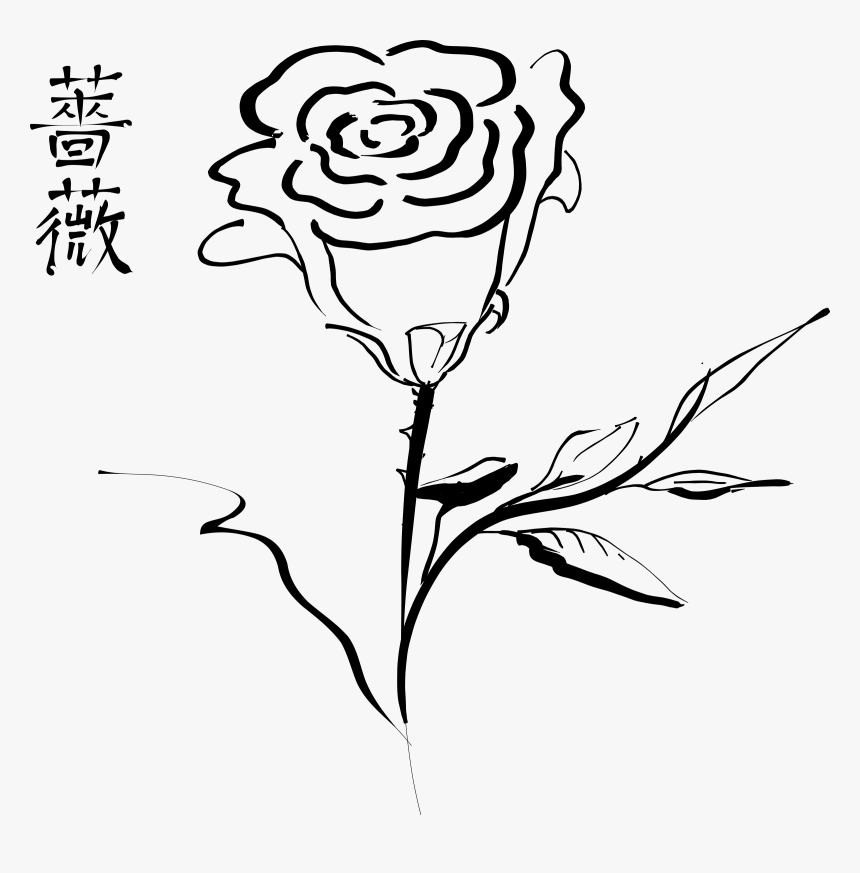 Rose Drawing Clip Art - Calligraphic Lines In Art, HD Png Download