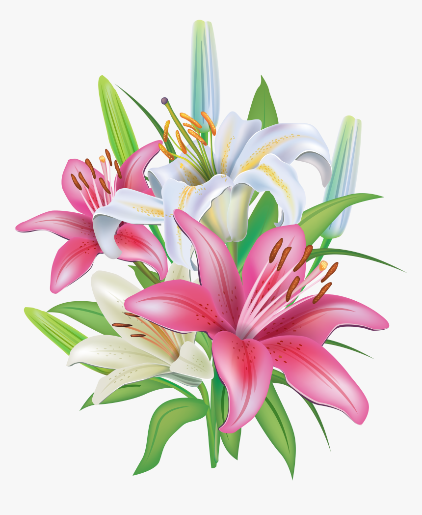 Pink Lilies Flores Pinterest - Transparent Lilies Clipart, HD Png Download