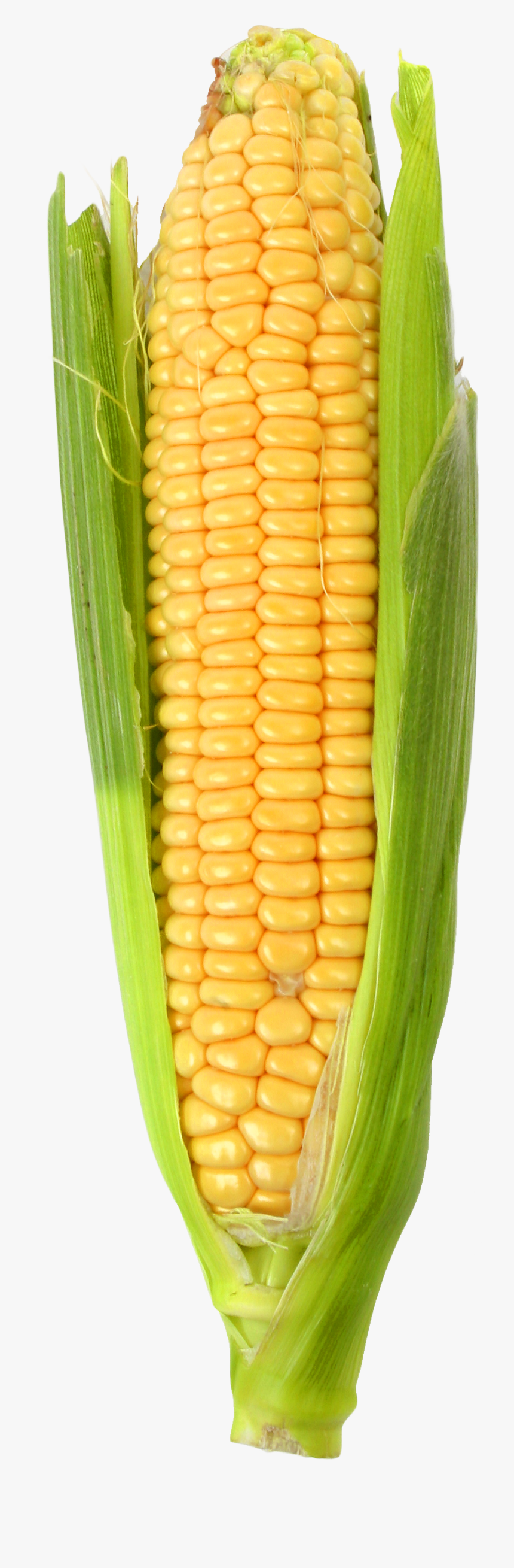 Corn Png, Transparent Png