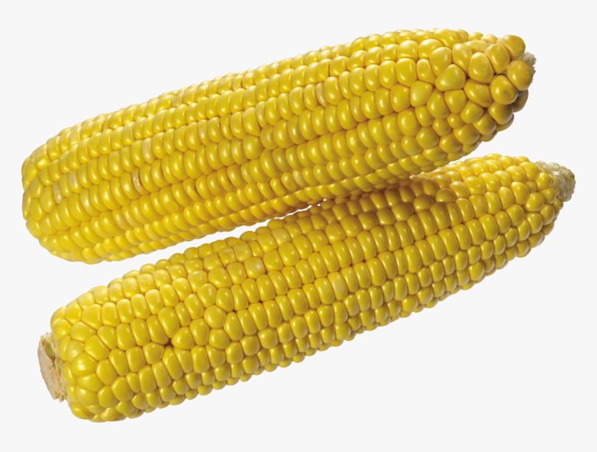 Corn Png Image - Yellow Corn Transparent Background, Png Download