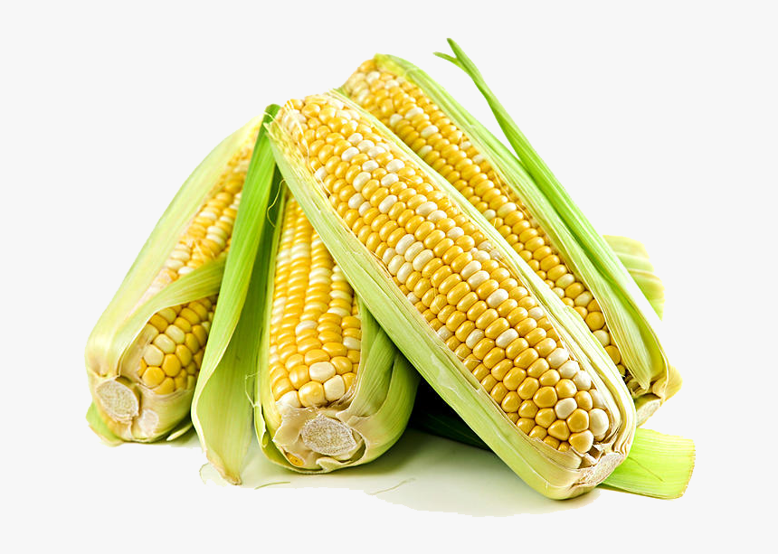 Corn Free Png Image - Epie De Blé D Inde, Transparent Png