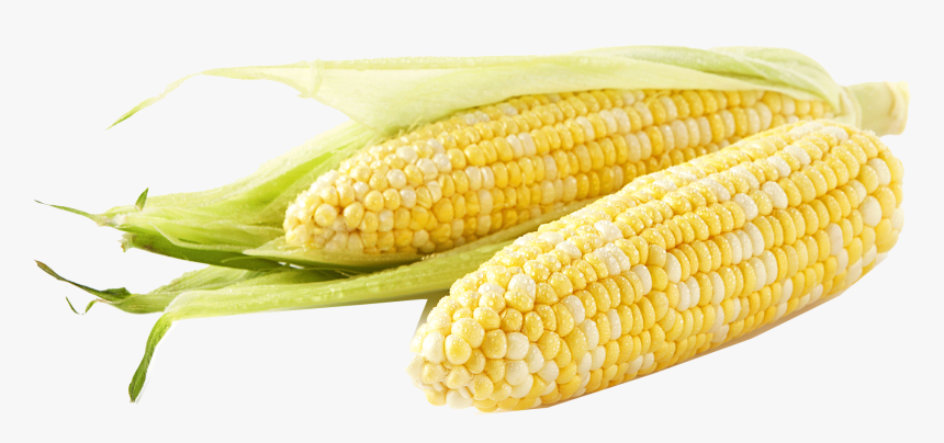Corn Png Free Download - Meijer Corn, Transparent Png