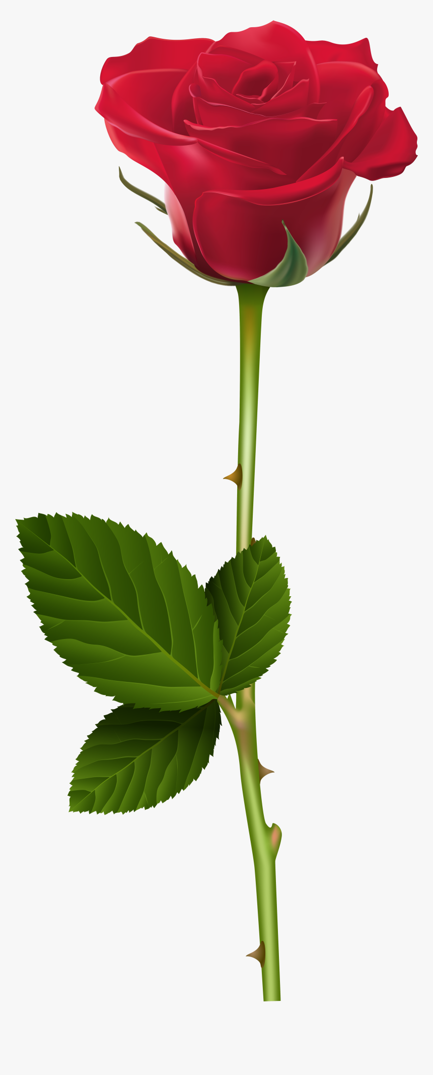 Bud - Cb Edits Rose Png, Transparent Png