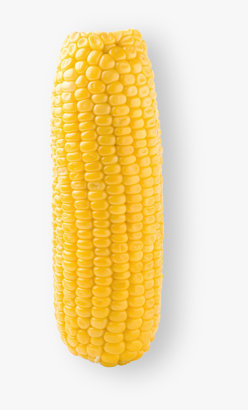 Corn Kernels , Png Download - Transparent Sweetcorn, Png Download