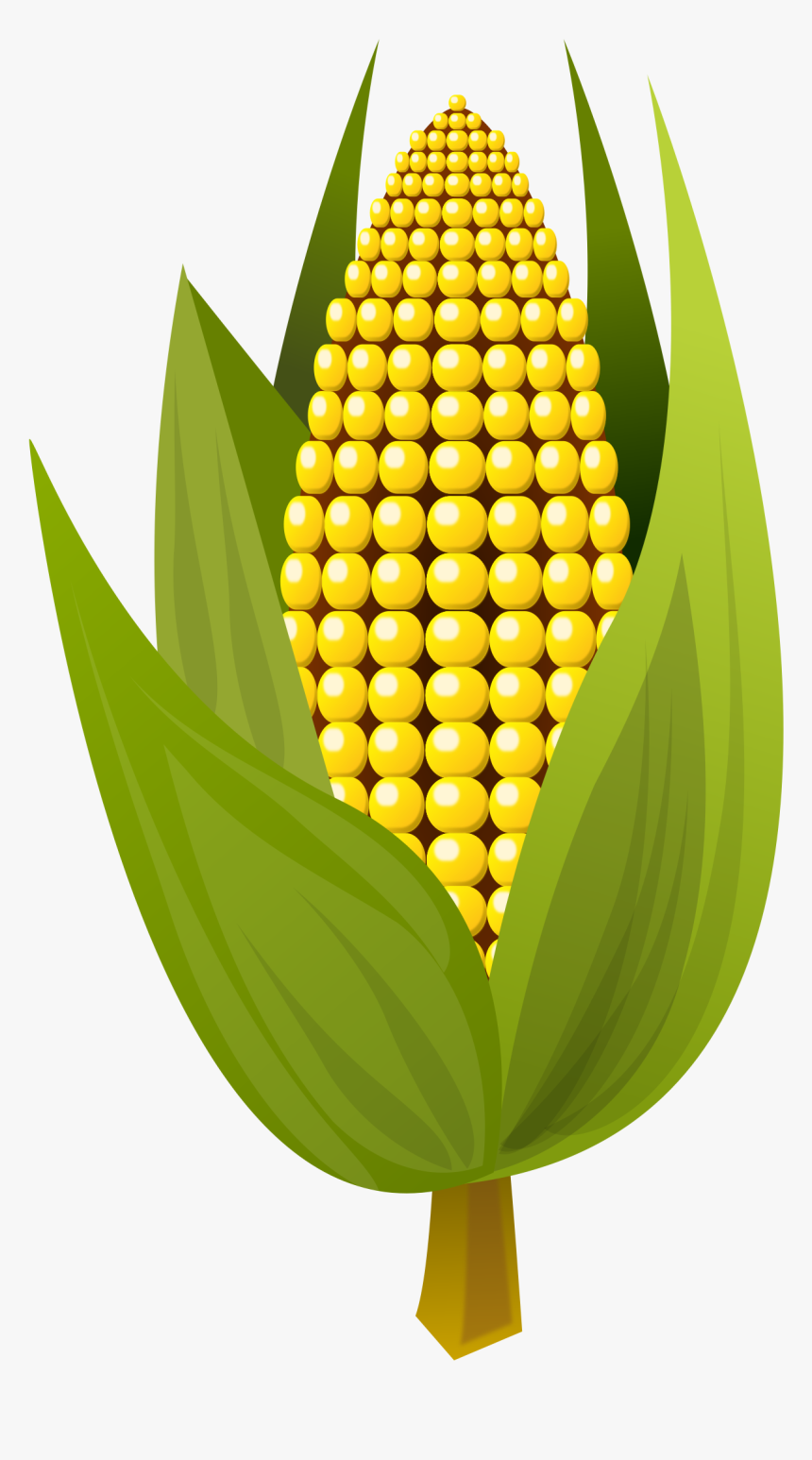 Maize,fruit,leaf - Corn Clipart Png, Transparent Png