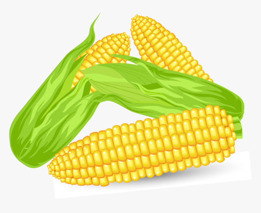 Corn Vector, HD Png Download