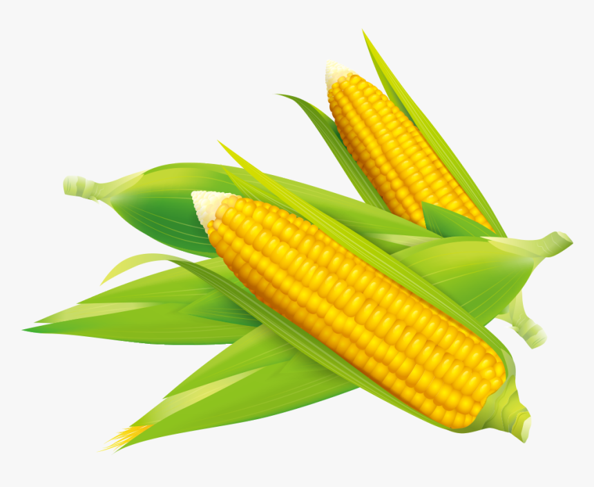 Corn Vector Flake - Sweet Corn Vector Png, Transparent Png